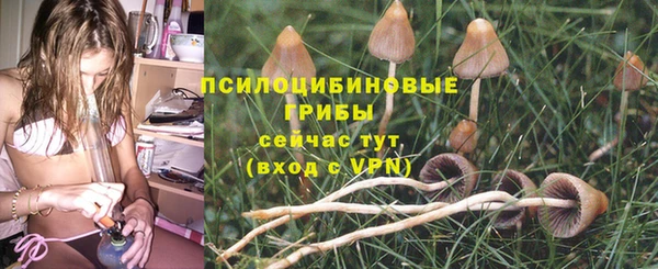 метадон Богородицк