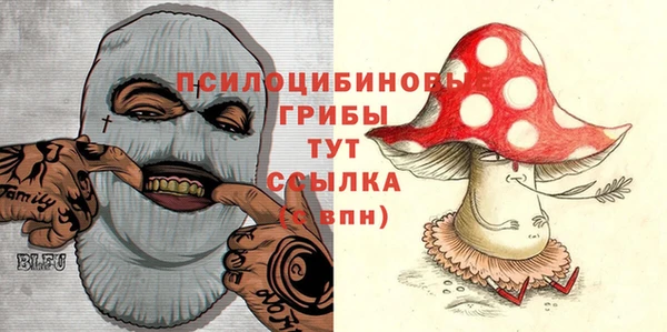 метадон Богородицк